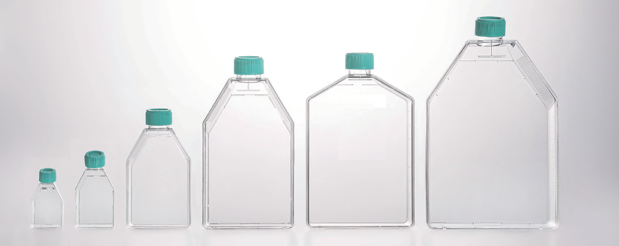250mL T75 Tissue Culture Flasks, Non-Treated, Plug Seal Cap, Case of 100